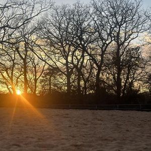 Meet your Posher, Charlotte